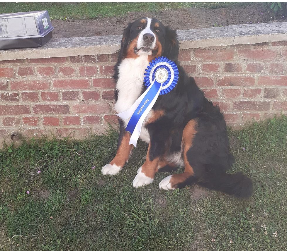 Snowbelle Du Haras De La Ferme Bleue